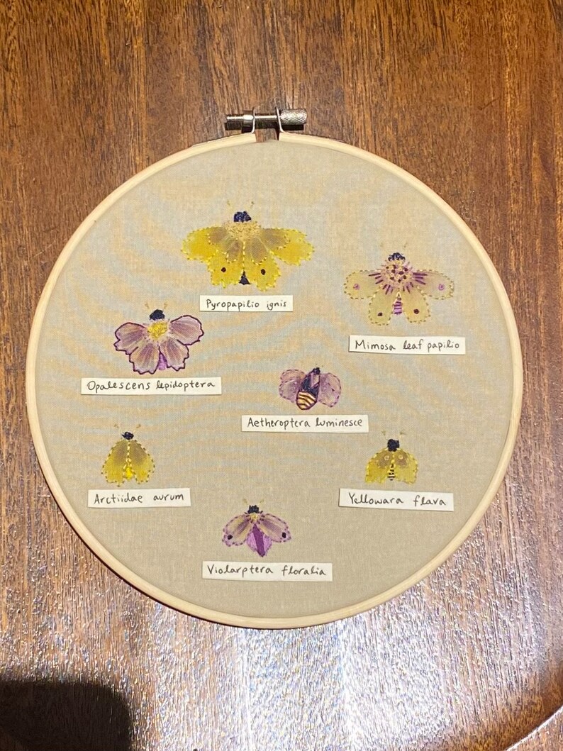 Butterfly Exhibit