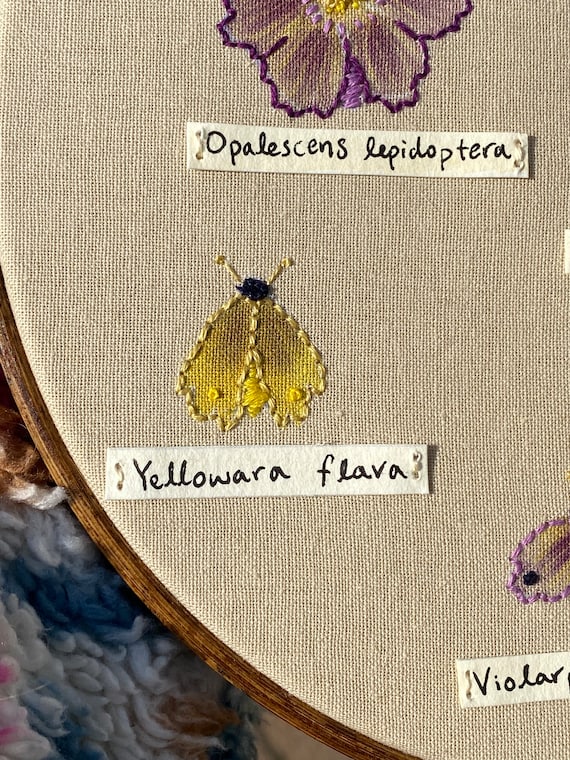Butterfly Exhibit