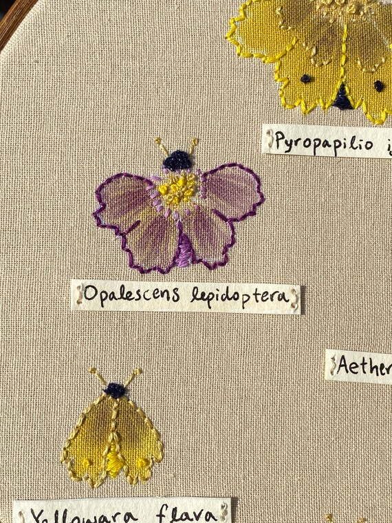 Butterfly Exhibit